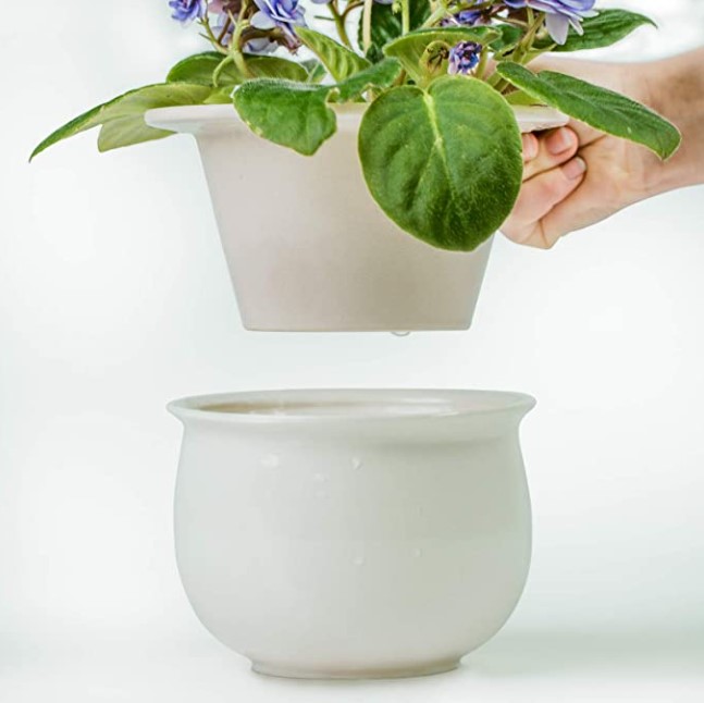 ceramic self-watering plant pot