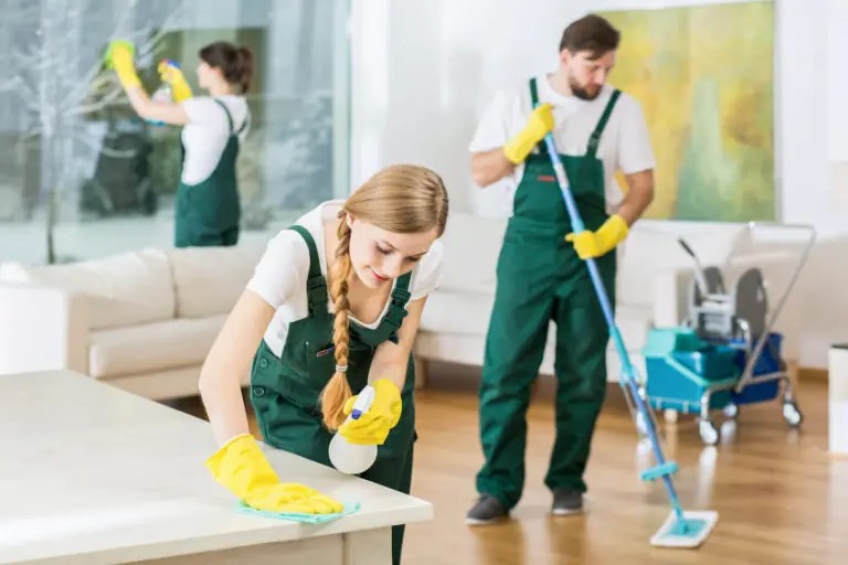 Why Leeds Homeowners Keep Choosing the Same Carpet Cleaners Leeds Again and Again